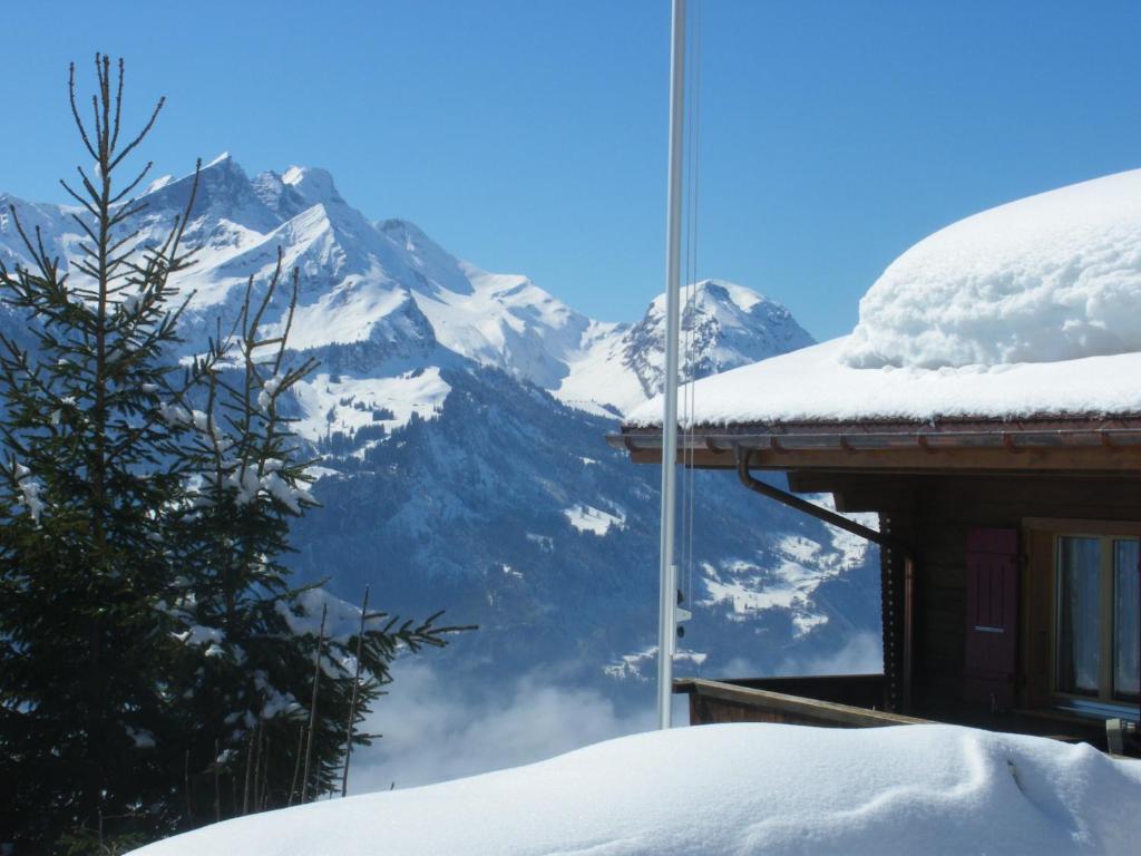 Chalet Blatti Hasliberg Extérieur photo